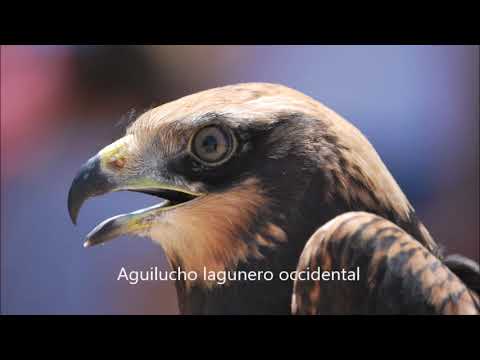 Día Mundial de los Humedales. 02-Feb-2021