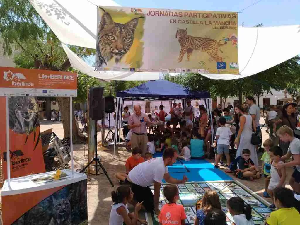 Iberlince organiza jornadas divulgativas en los municipios de reintroducción del lince ibérico en Castilla-La Mancha 1 Iberlince organiza jornadas divulgativas en los municipios de reintroducción del lince ibérico en Castilla-La Mancha 1