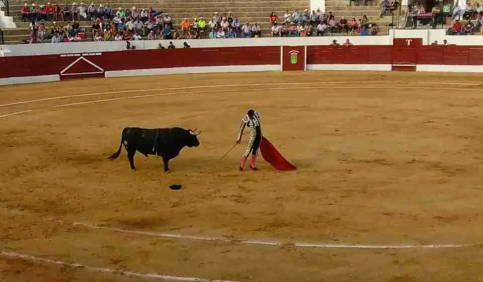 Gran Corrida de Toros en la Feria 2017 de Consuegra 2