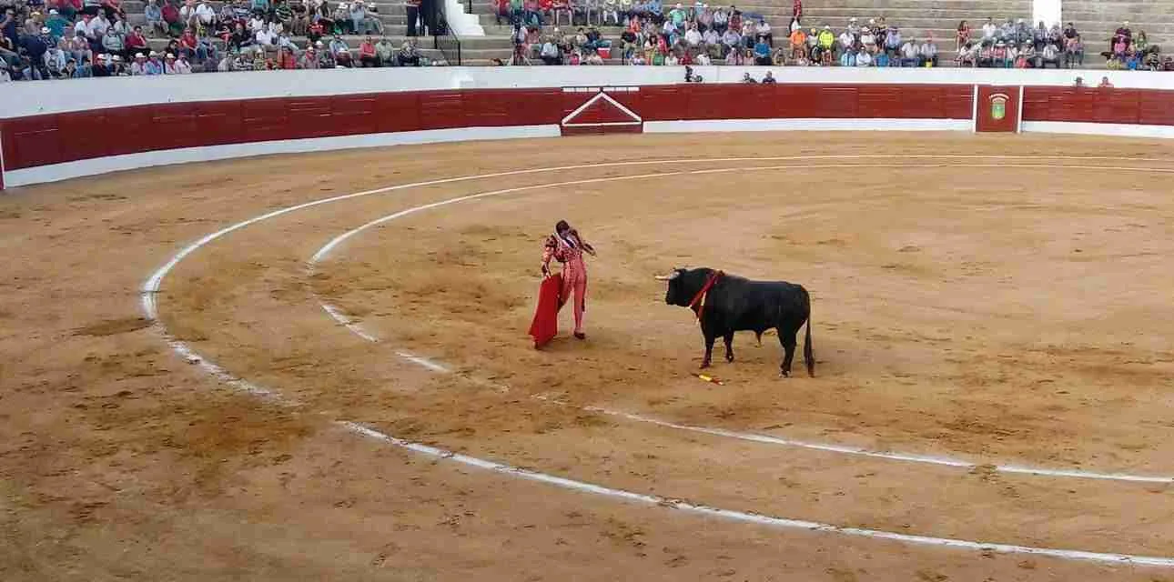 Gran Corrida de Toros en la Feria 2017 de Consuegra 4