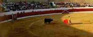 feria-2017-corrida-toros-consuegra-6 3