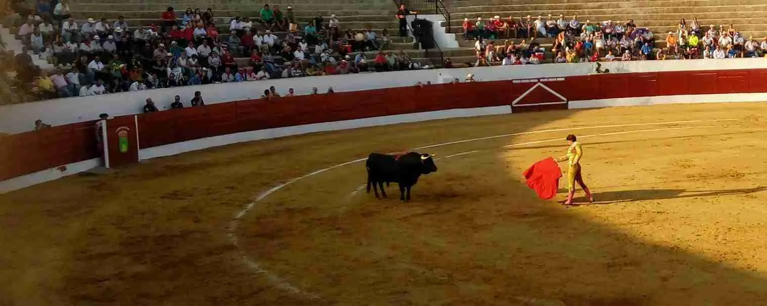 Gran Corrida de Toros en la Feria 2017 de Consuegra 5 Gran Corrida de Toros en la Feria 2017 de Consuegra 5