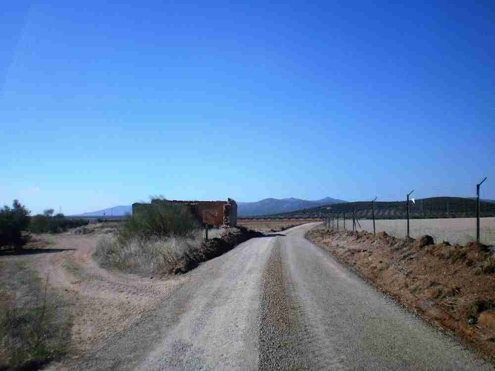 Acondicionados 11 kilómetros de caminos rurales en Herencia 1