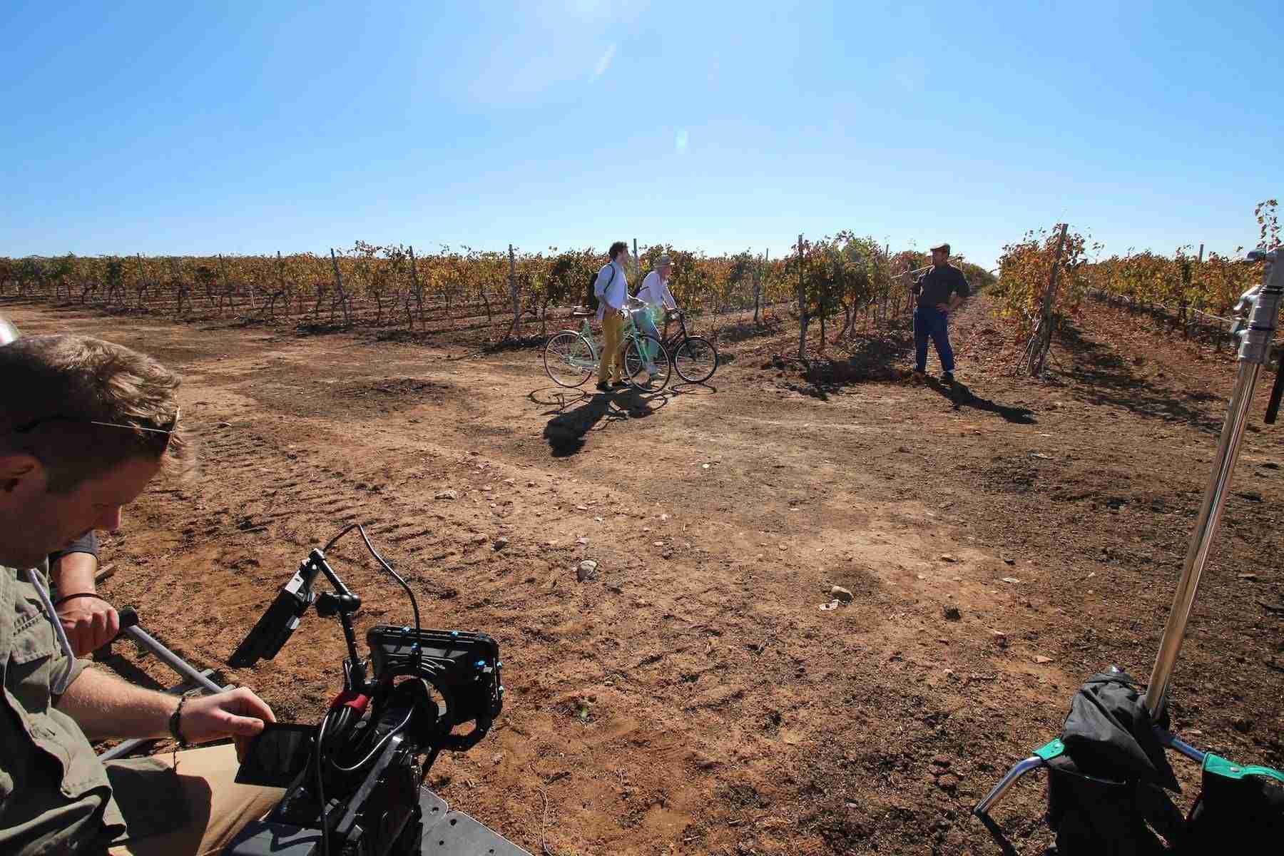 Vinos DO La Mancha, las cosas por su nombre 2