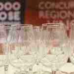 Fotogalería IX edición de Concurso Regional de Vinos Tierra del Quijote "1000 no se equivocan" 23