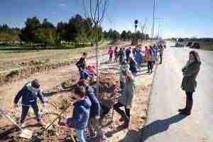 20180316_Plantando arboles_Divino004_AdeAlba 3