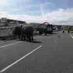 Un accidente con elefantes en la Autovía A-30 en Albacete 13