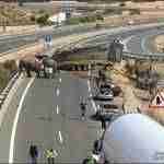 Un accidente con elefantes en la Autovía A-30 en Albacete 3