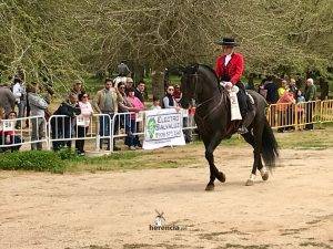 liga social equitacion 2018 herencia ciudad real 1 3