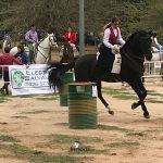 Celebrada en Herencia la 2ª Liga Social de Equitación en Herencia 24