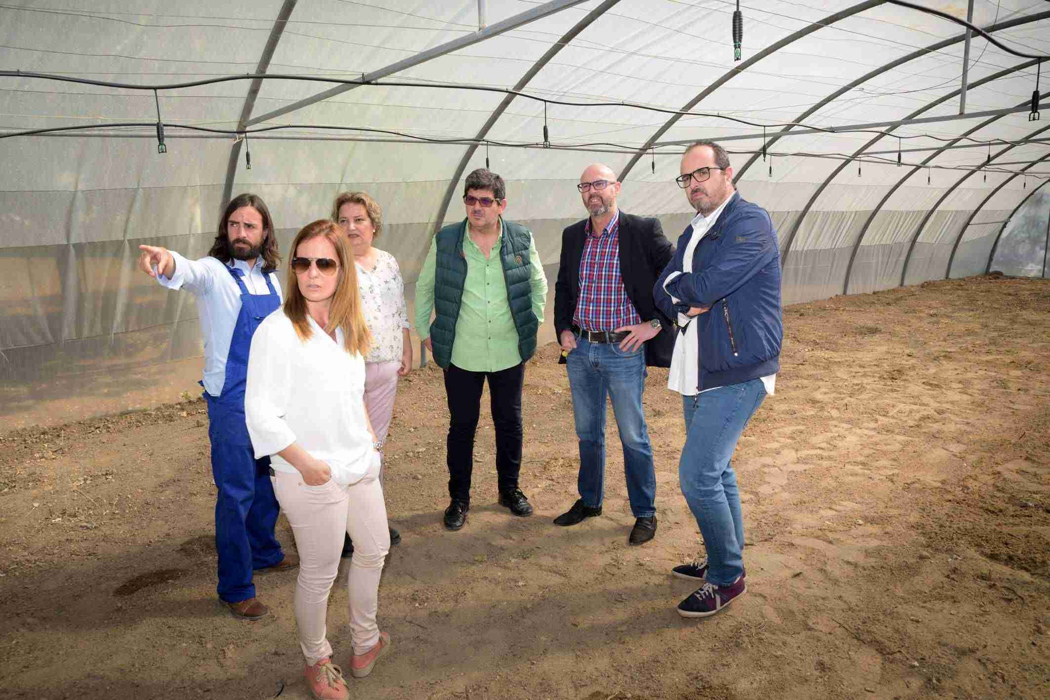 El alumnado de agro-jardinería del IES Vicente Cano utilizará el invernadero cedido por el Ayuntamiento de Argamasilla 3