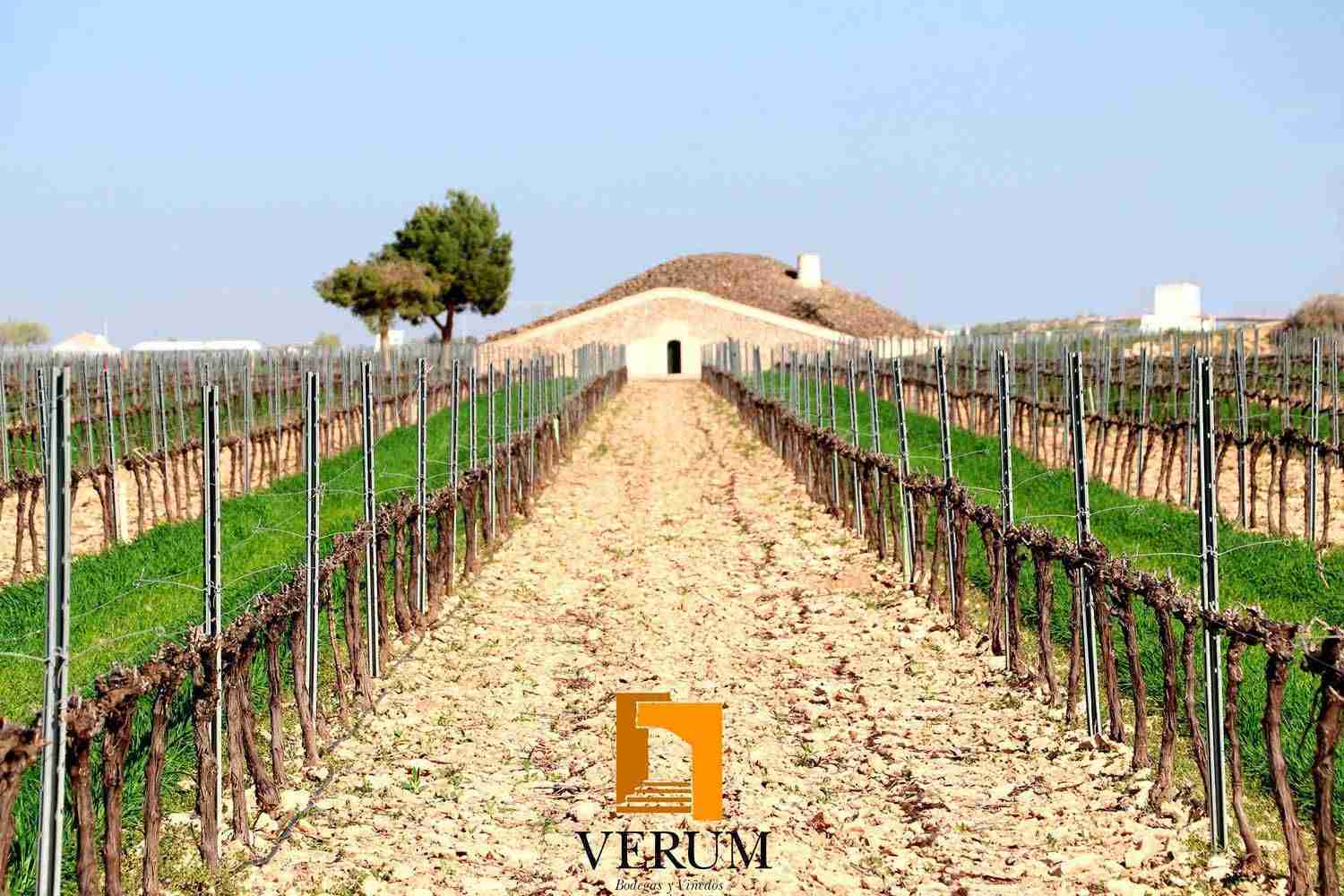 Bodegas Verum representa a Castilla La Mancha en el IX simposio de Master of Wine 1