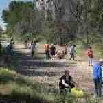 Decenas de voluntarios participan en la limpieza del río Guadiana en Argamasilla de Alba 3