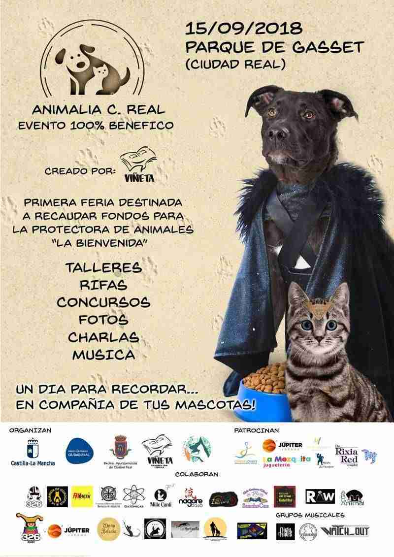 Animalia Ciudad Real