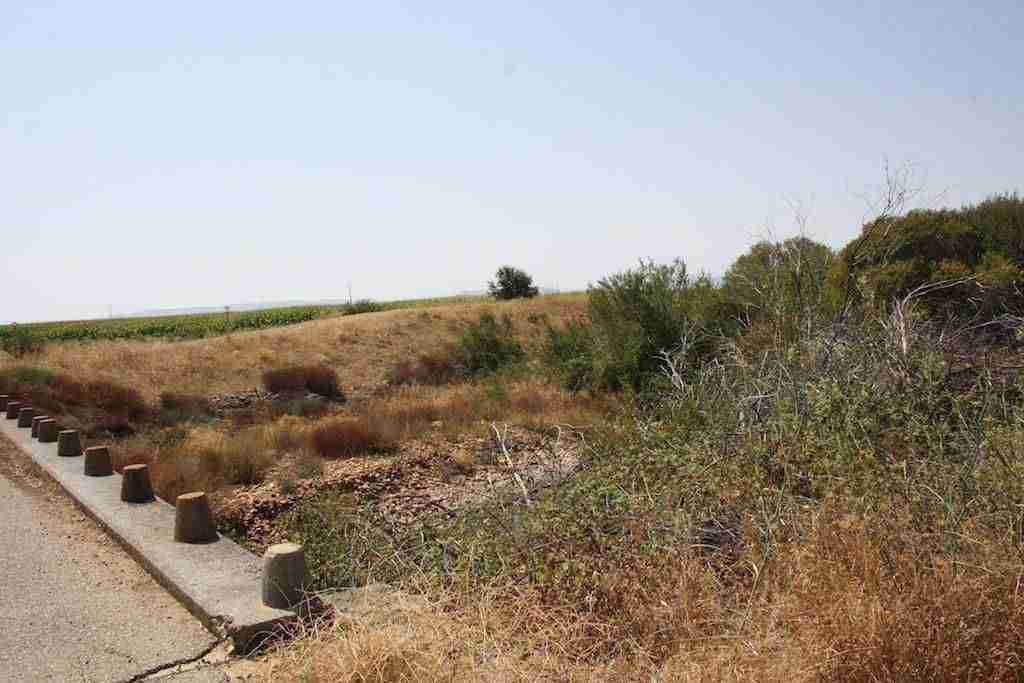 Alcalde y presidente de la CHG abordan cómo acometer la limpieza de cauces del río y arroyos 1