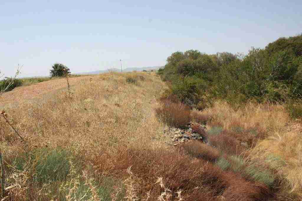 Alcalde y presidente de la CHG abordan cómo acometer la limpieza de cauces del río y arroyos 11