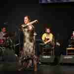 Julián Estrada y El Troya en el VII Festival Flamenco “Primavera del Cante” de Argamasilla de Alba 9