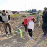 Los niños y niñas de la Pequeteca y de la Ludoteca plantan cerca de un centenar de encinas 1