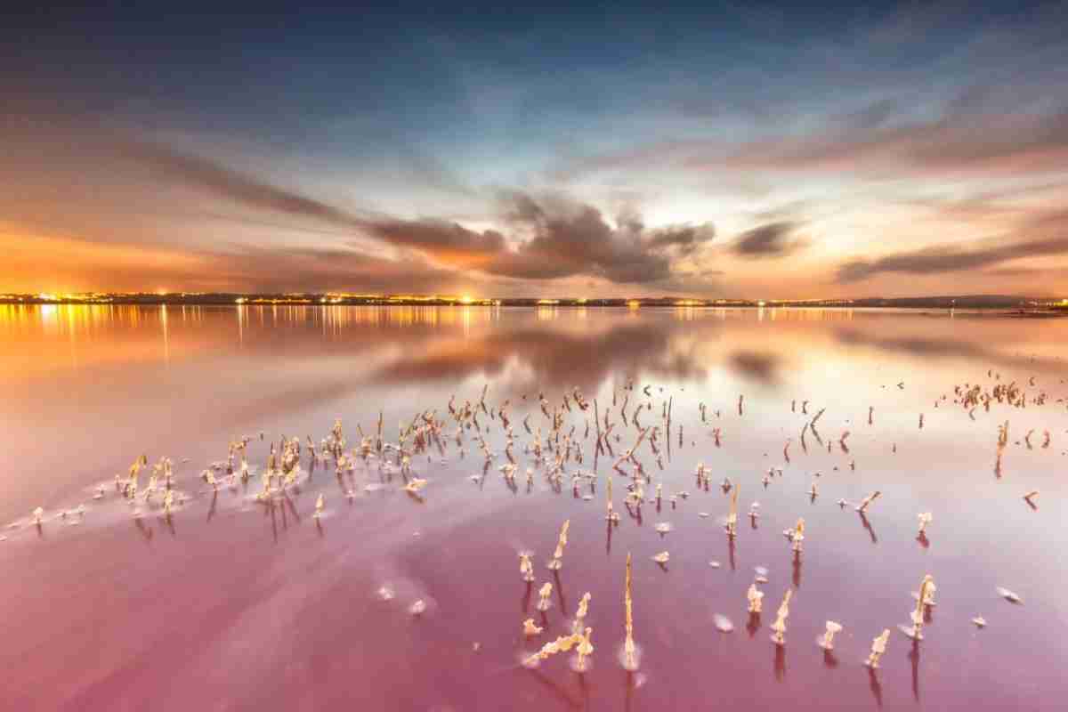 2 premio concurso de fotografia dia mundial de los humedales