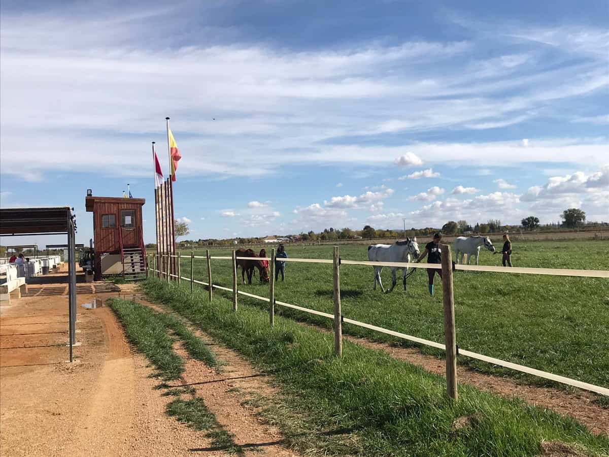 El Campeón de España en Concurso Completo de Equitación será elegido este fin de semana en Tomelloso 1