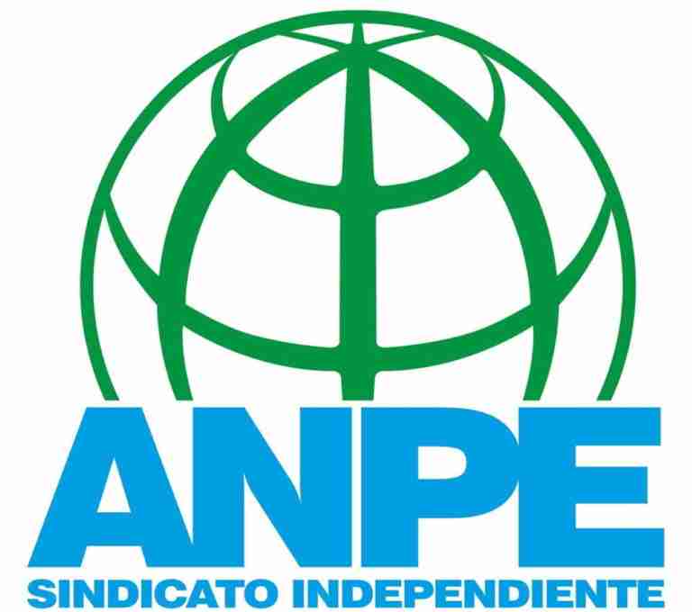 anpe analiza el informe pisa