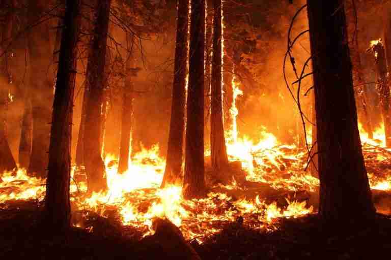 evento prevencion y extincion de incendios forestales en cumbre del clima