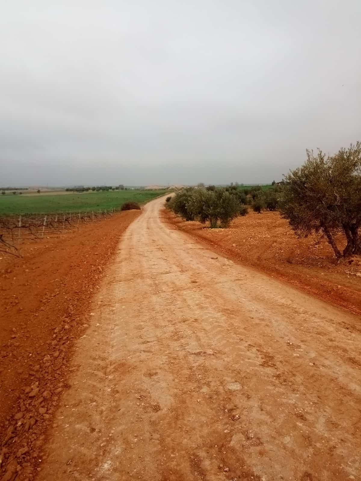 Se arreglaron 16 kilómetros de caminos rurales en Torralba de Calatrava 2