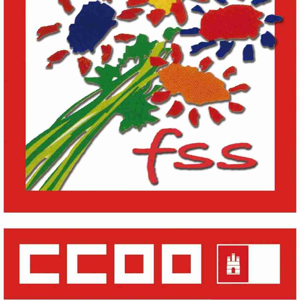 ccoo fss solicita al sescam mantener contrataciones cuando pase la crisis