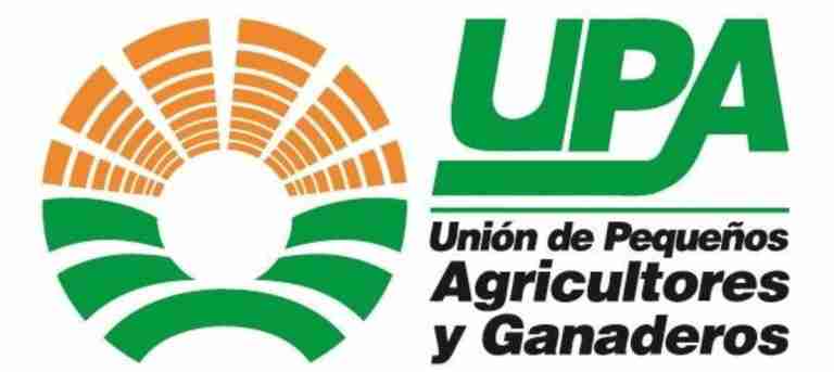 upa clm implementa plataforma de enlace entre empleadores y personas buscando trabajo