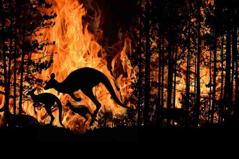 megaincendios en australia