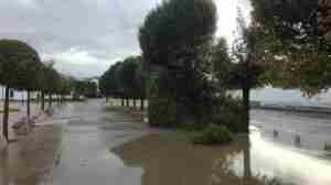 Arboles caidos e inundaciones por todo el pueblo de Calzada de Calatrava 3