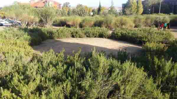 Jardines del Rio Estenilla frente Consejería de Fomento 02