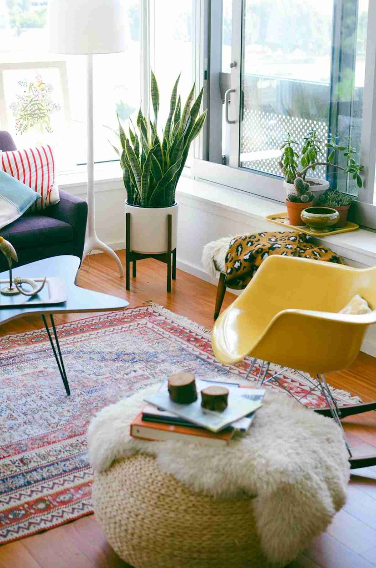 6 Plantas de invierno para decorar tu hogar 2