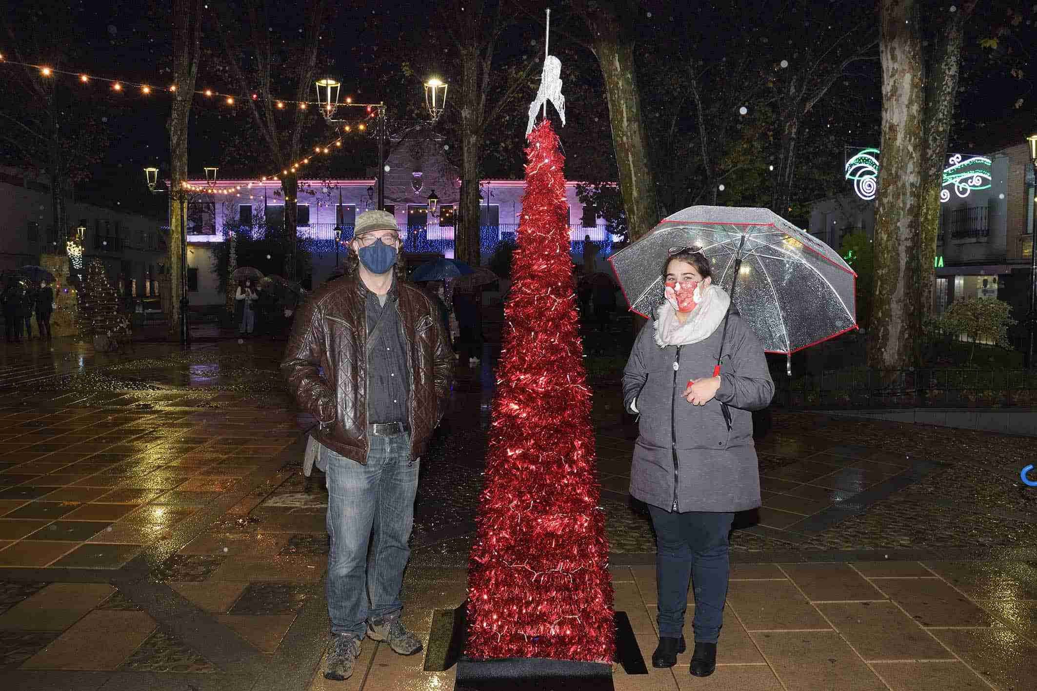 Cerca de una veintena de árboles navideños decoran la Glorieta de Argamasilla de Alba 1