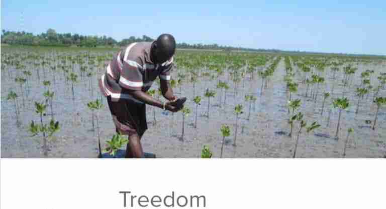 agricultor colabora con treedom
