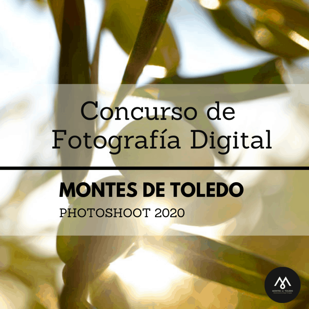 El concurso de fotografía digital 2020 de la Denominación de Origen Montes de Toledo ya tiene ganadores 4