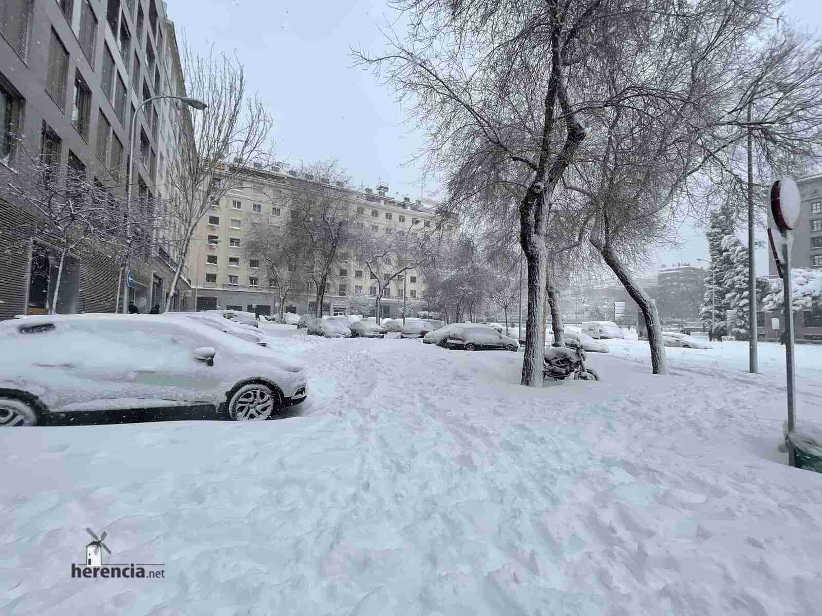 Fotografías de la nevada de enero en Madrid (España) 119