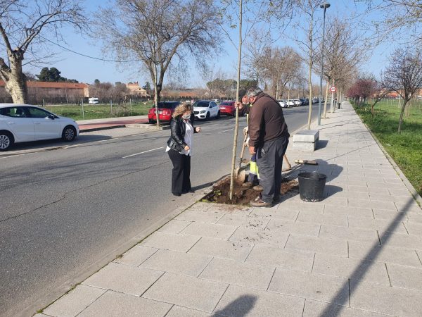 SAN PEDRO EL VERDE