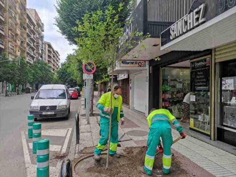 se plantaron dos arboles dia del medio ambiente puertollano