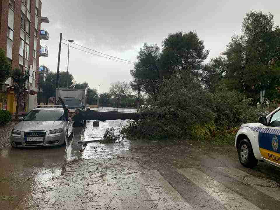 Impresionante tormenta provocó numerosas desperfectos en calles y parques en Alcázar de San Juan 17