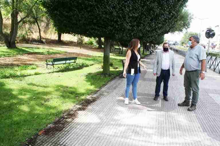 mejoras en la zona verde avenida ciudad real puertollano