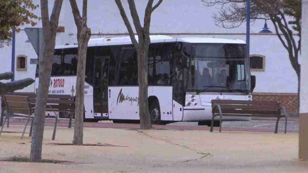 reinicia servicio autobus manzanares