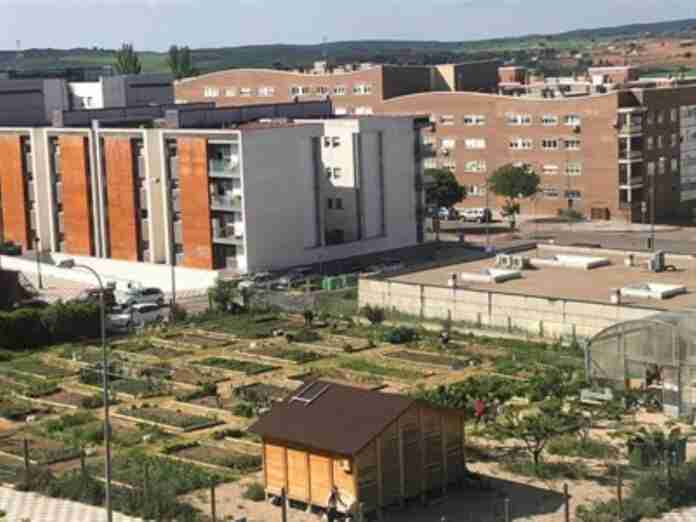 huertos sociales cuenca