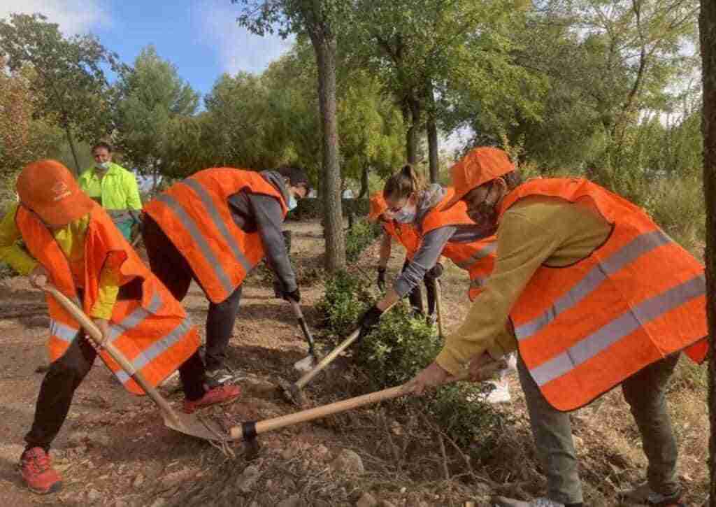 jornada de plantacion y limpieza repsol en puertollano