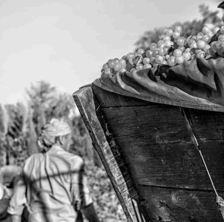 Ganadores del concurso “Mi rincón favorito de Tomelloso” fueron premiados hoy