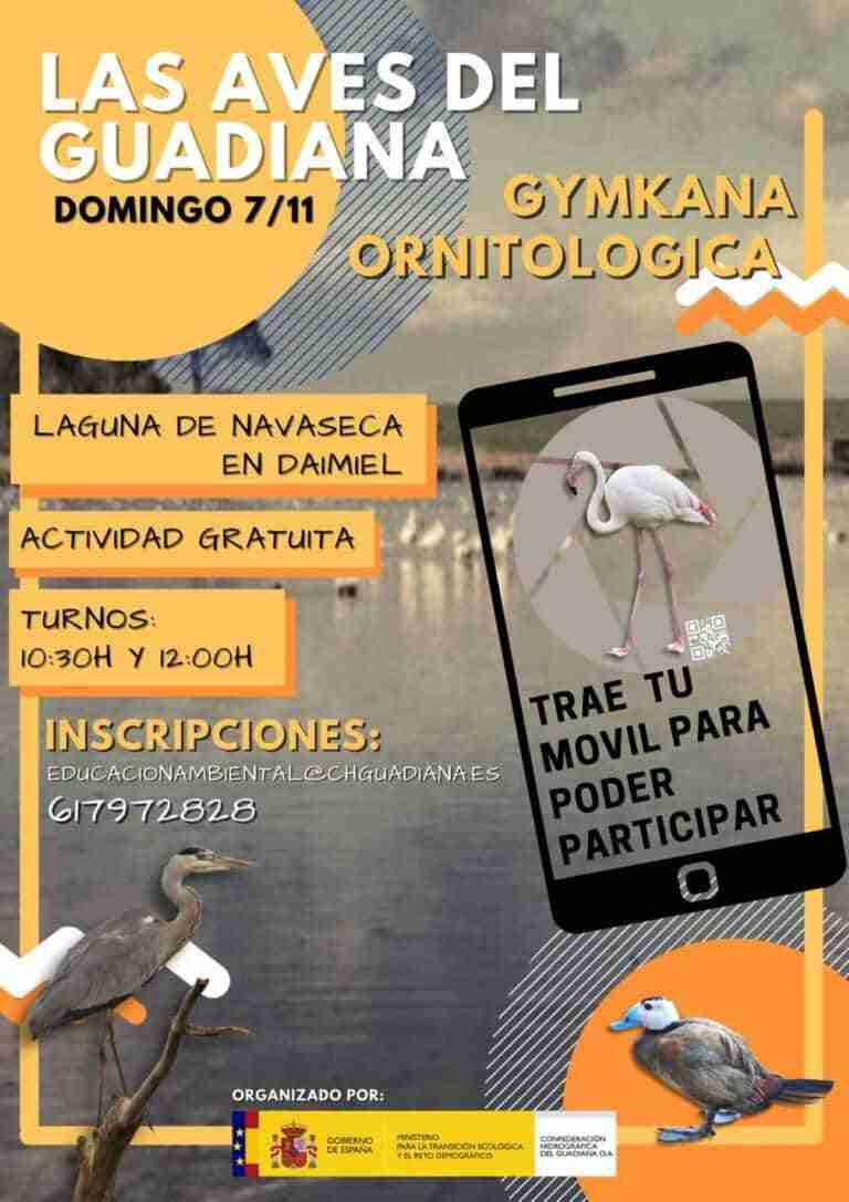 gymkana ornitologica en daimiel