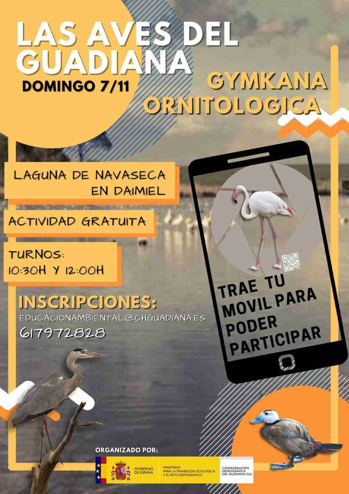 gymkana ornitologica en daimiel