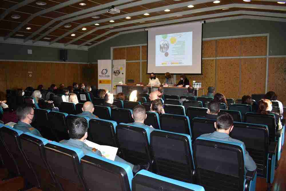 Jornada de coordinación interdisciplinar entre las administraciones profesionales frente a la infancia y a la adolescencia víctimas de violencia de género