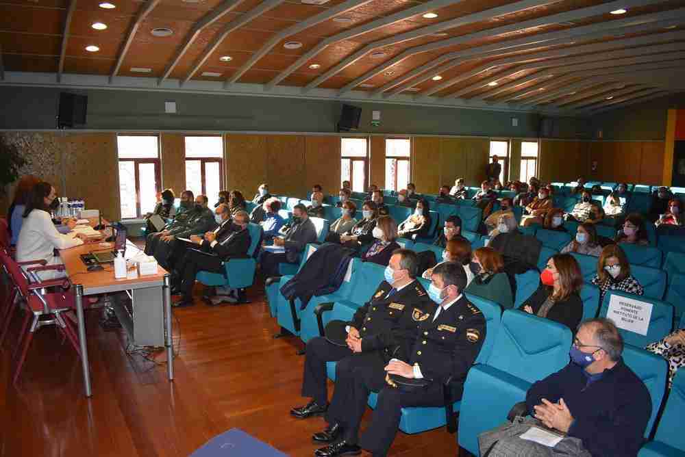 Jornada de coordinación interdisciplinar entre las administraciones profesionales frente a la infancia y a la adolescencia víctimas de violencia de género