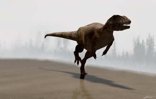 Los dinosaurios más veloces del planeta 4